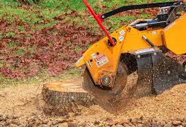 Best Tree Mulching  in Albion, MI